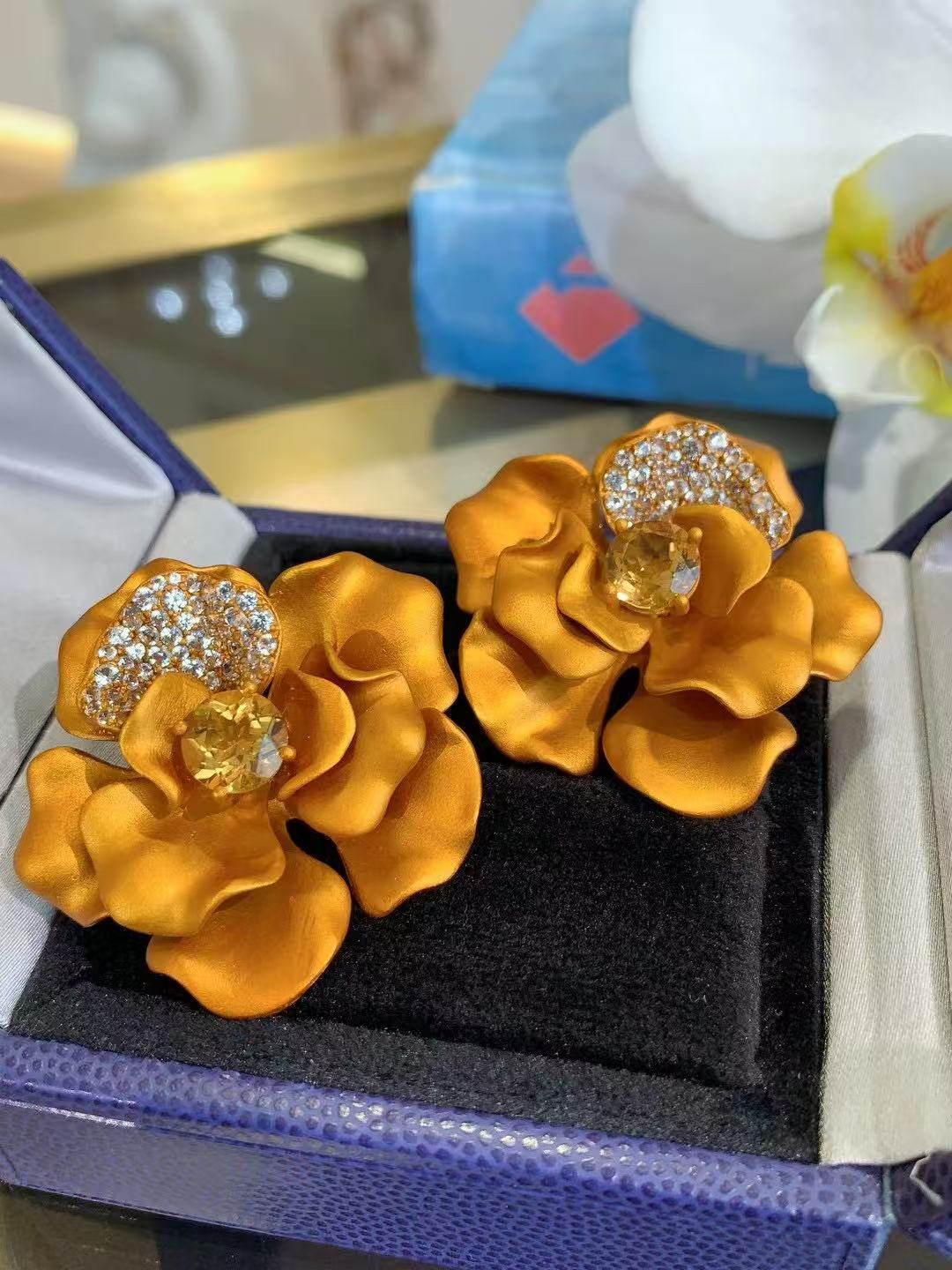 Jewelry Titanium and aluminum Earrings