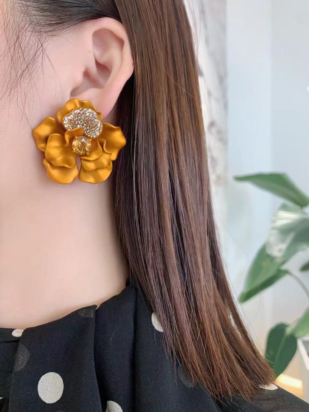 Jewelry Titanium and aluminum Earrings