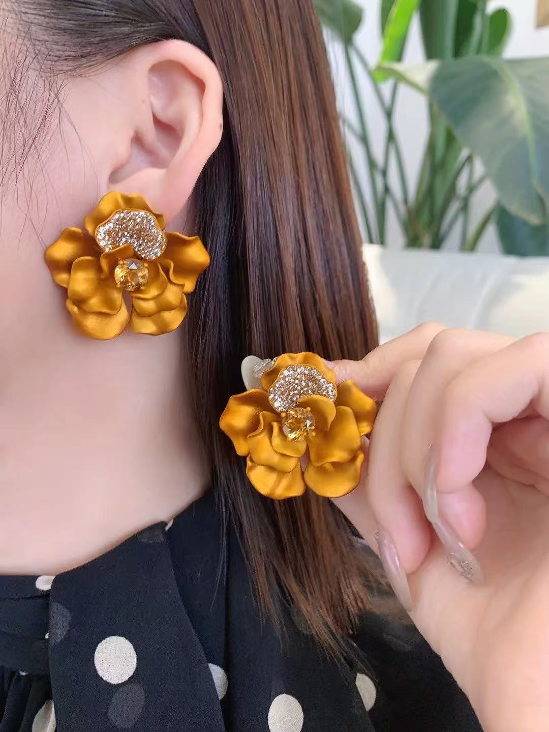 Jewelry Titanium and aluminum Earrings